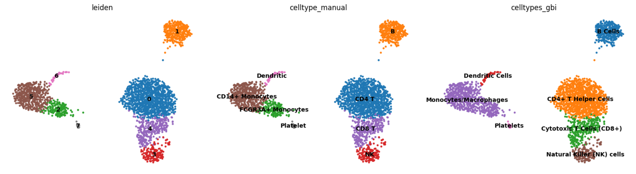 cell cluster