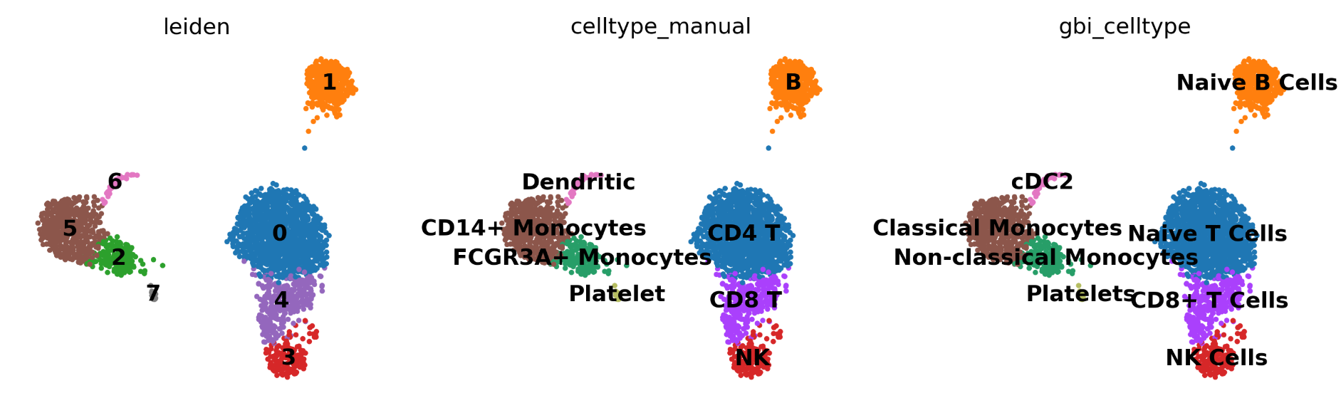 cell cluster