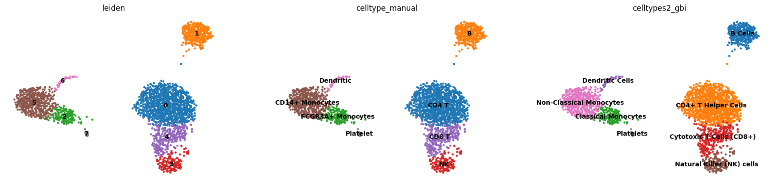 cell cluster